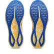 Asics Noosa TRI 16 férfi futócipő 44