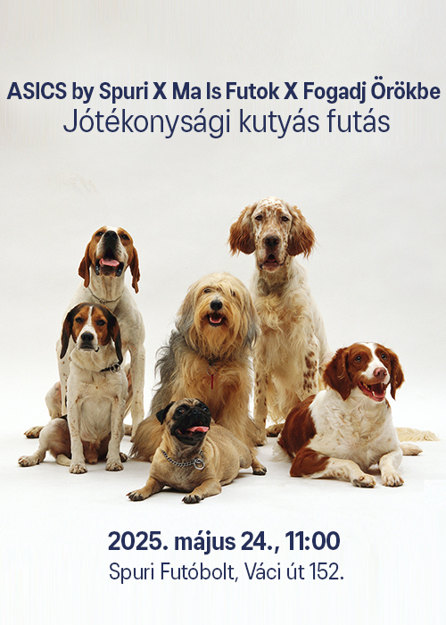 Fuss velünk és támogass egy jó ügyet! 